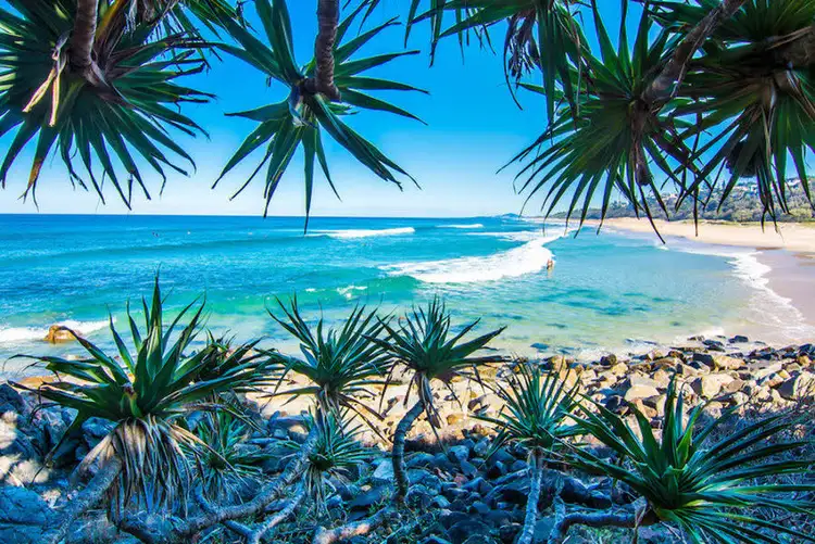 Fourth view of Homely townhouse listing, 1/4 Park Crescent, Sunshine Beach QLD 4567