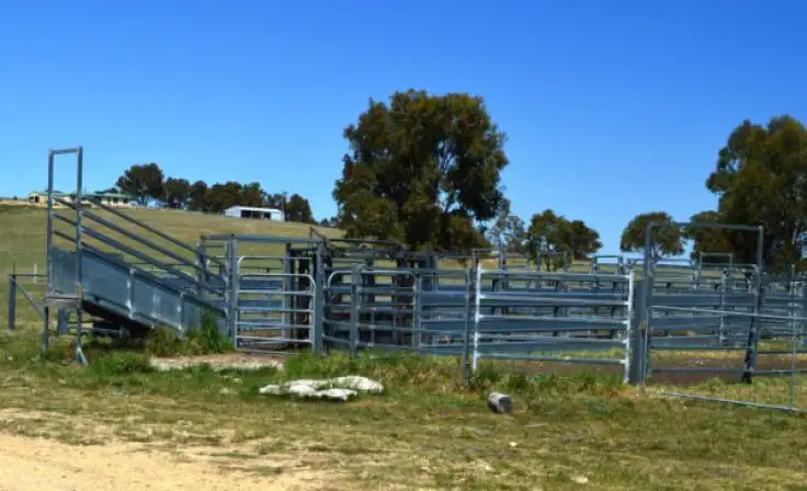 Fifth view of Homely rural property listing, 524 Westbrook  Road, Guyra NSW 2365