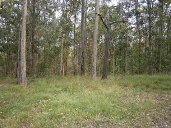 Fourth view of Homely rural property listing, 1896 Paddys Flat Road, Tabulam NSW 2469