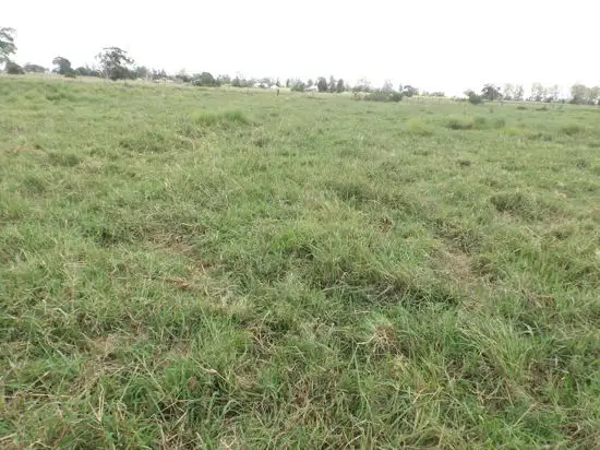 Main view of Homely land listing, Lot 4 Forest Street, Coraki NSW 2471