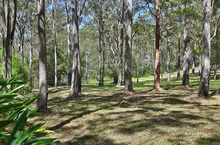 Fifth view of Homely land listing, 2a Banyandah Road, Hyland Park NSW 2448