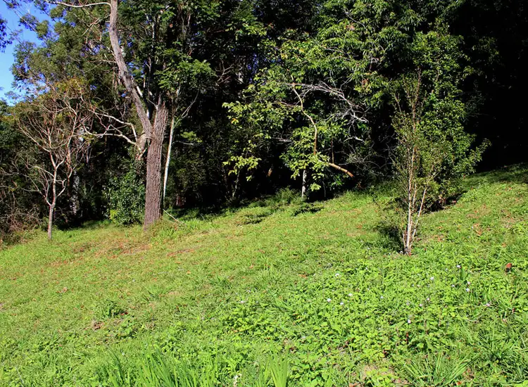 Sixth view of Homely house listing, 16 Hill Street, Bellingen NSW 2454