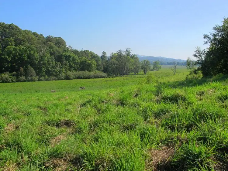 Fourth view of Homely land listing, 217 Mount St, Fernmount NSW 2454