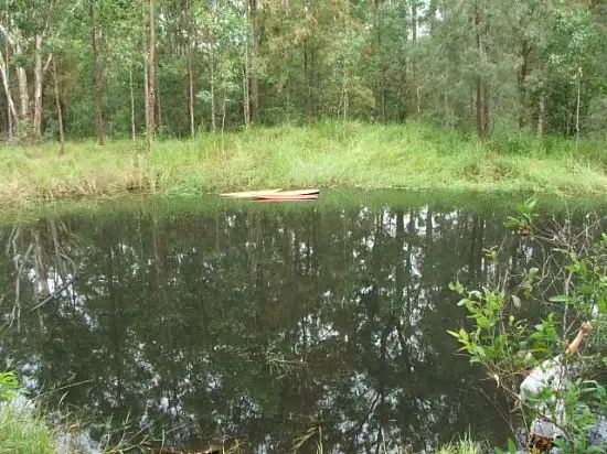 Third view of Homely rural property listing, Lot 14 Mud Flat Rd, Drake NSW 2469