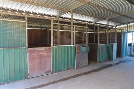 Second view of Homely rural property listing, 37 Tullong Road, Scone NSW 2337
