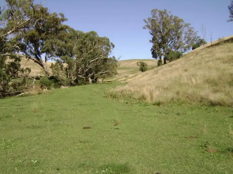 Fifth view of Homely rural property listing, 1999 "HOLLINGVALE" ROUCHEL ROAD, Scone NSW 2337