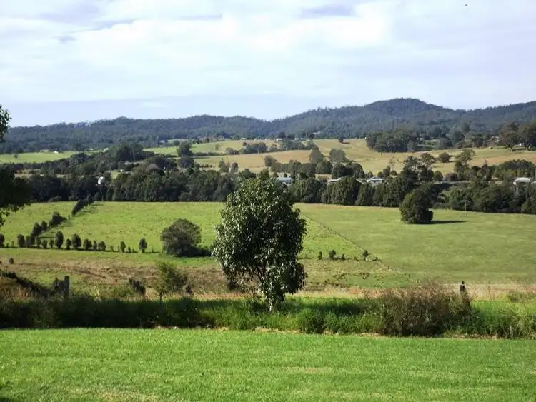Second view of Homely rural property listing, 529 Upper Warrell Creek Road, Macksville NSW 2447