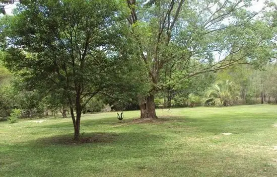 Fourth view of Homely rural property listing, Address available on request