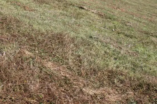 Fourth view of Homely land listing, lot 3 Forest Street, Coraki NSW 2471