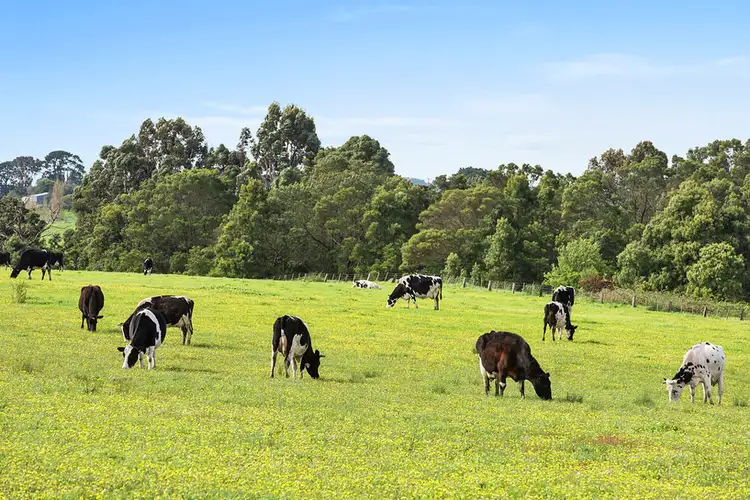 Fifth view of Homely rural property listing, 130 Tannis Road, Larpent VIC 3249