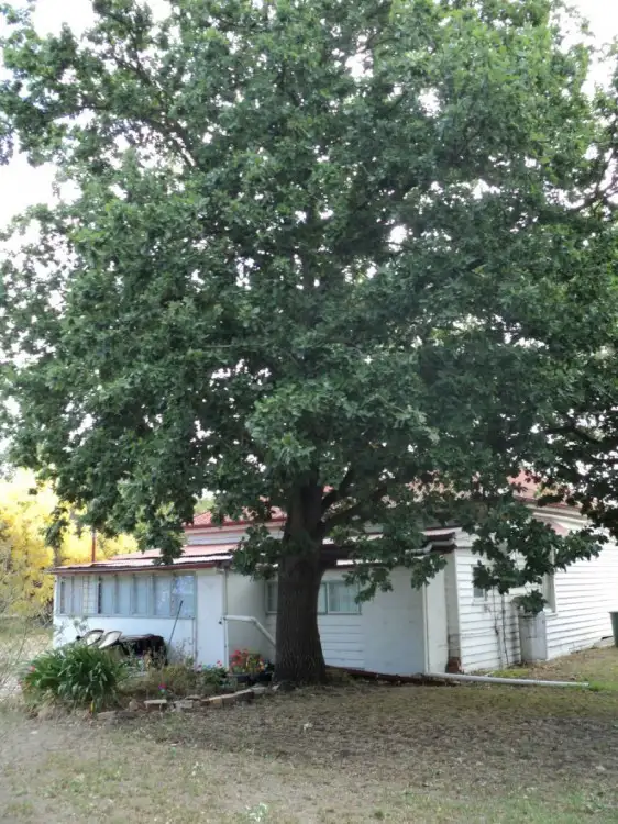 Sixth view of Homely house listing, 28 Cameron Street, Glenthompson VIC 3293