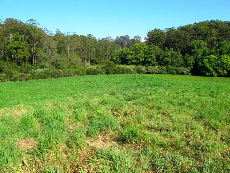 Main view of Homely land listing, 217 Mount St, Fernmount NSW 2454