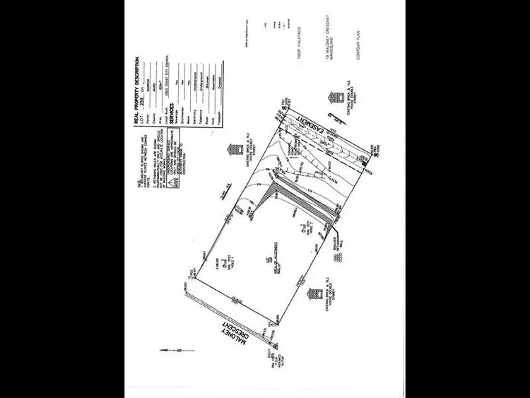 19 Maloney Crescent, Maudsland QLD 4210