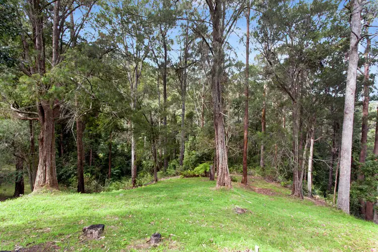 Seventh view of Homely rural property listing, 32 Codys Road, Valla NSW 2448