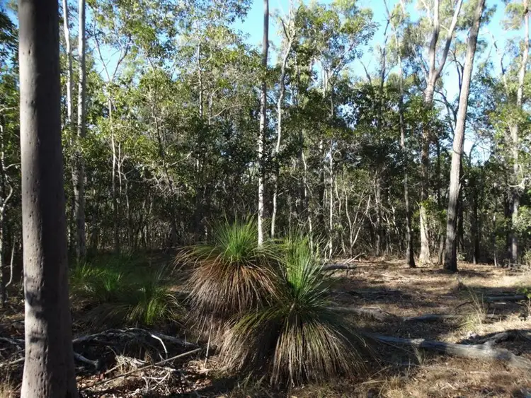 Fifth view of Homely rural property listing, Lot 49 Kirkpatrick Road, Euleilah QLD 4674