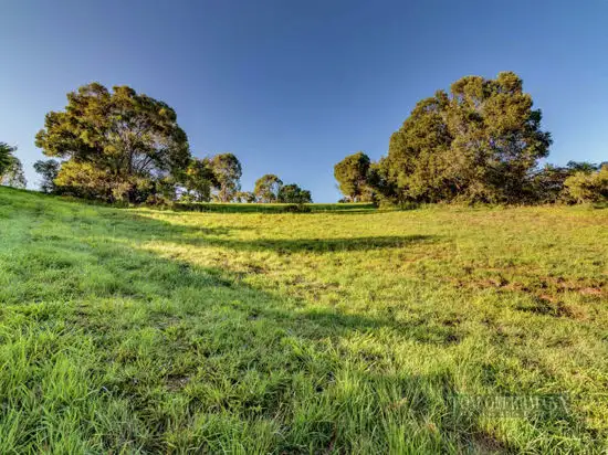 Fifth view of Homely land listing, 205 Blueberry Drive, Cooroy QLD 4563