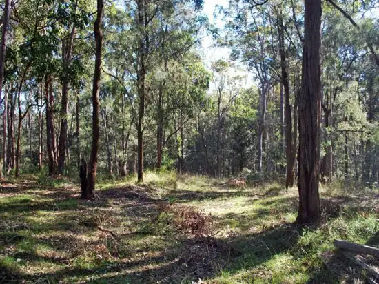 Fourth view of Homely rural property listing, 187 Sternbeck Lane, Bucketty NSW 2250