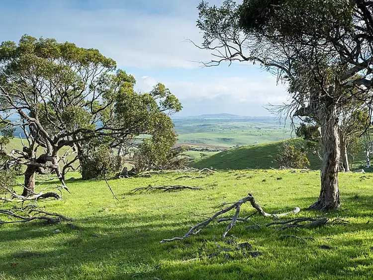 Fifth view of Homely land listing, L11 Steep Hill Road, Rockleigh SA 5254