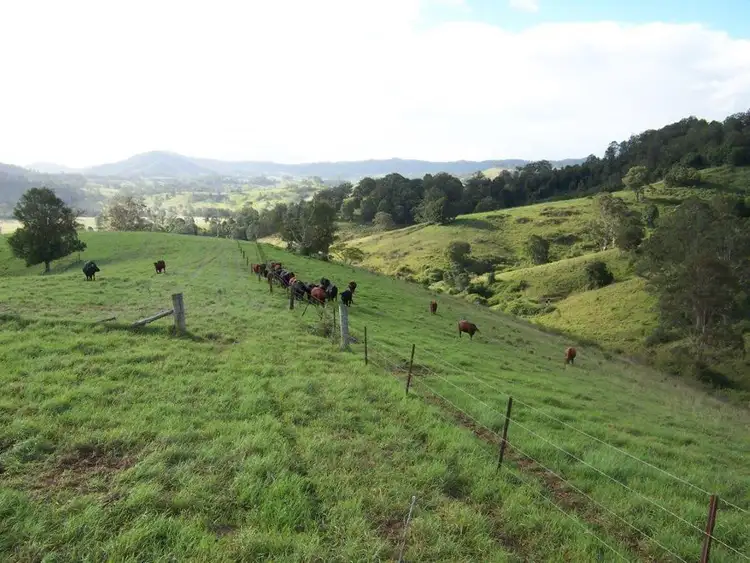 Seventh view of Homely rural property listing, 95 Murrays Road, Bucca Wauka NSW 2429