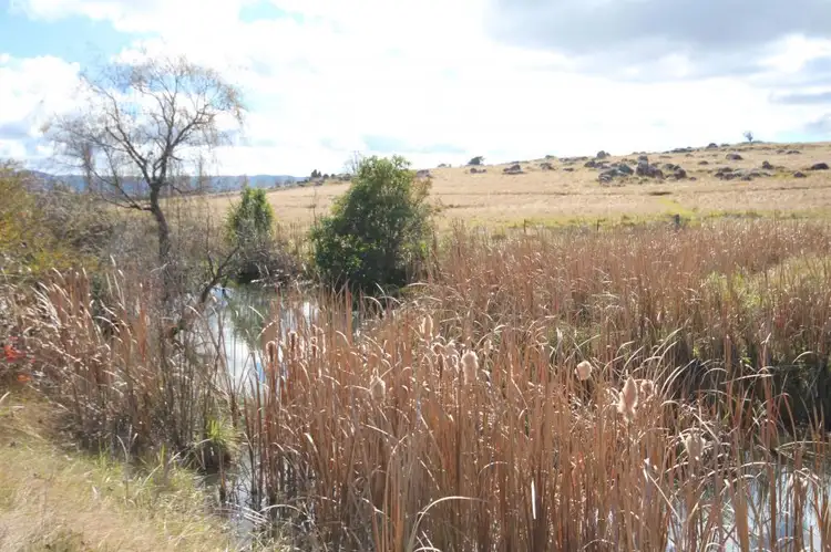 Fifth view of Homely land listing, 211-217 Wood Street, Tenterfield NSW 2372