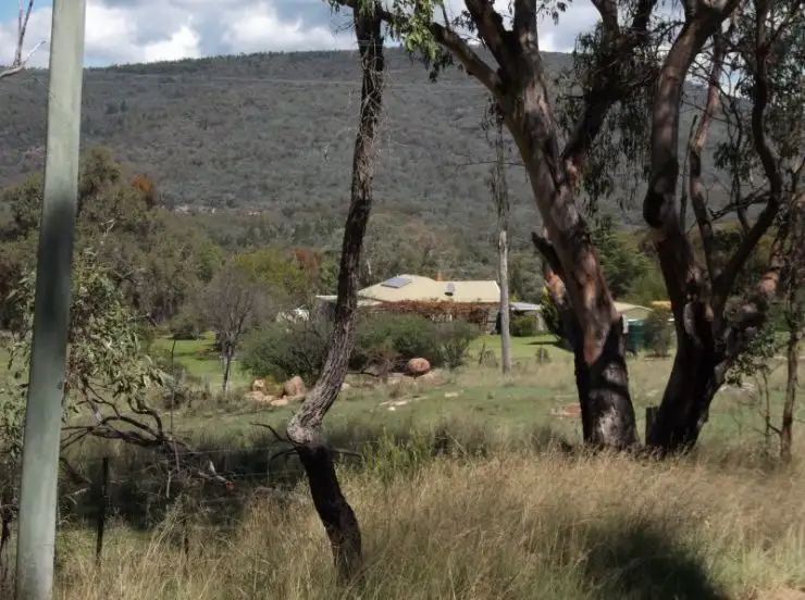 Main view of Homely rural property listing, 2399 Pyramids Road, Wyberba QLD 4382