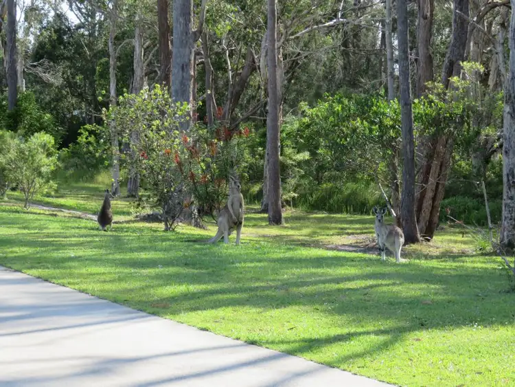 Fourth view of Homely house listing, 120 Wattlegrove Terrace, Valla Beach NSW 2448