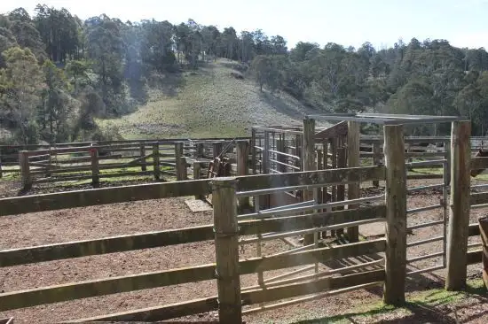 Second view of Homely rural property listing, Address available on request