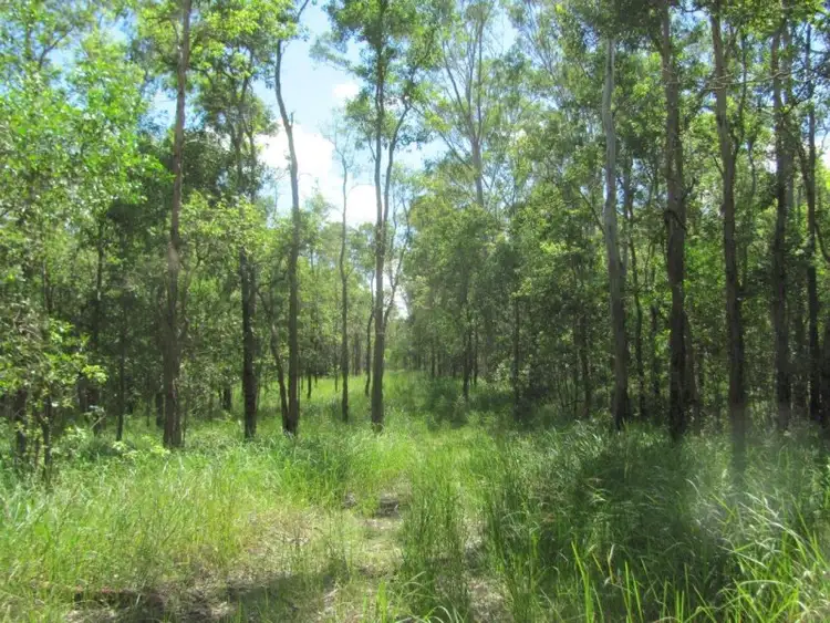Sixth view of Homely rural property listing, Lot 4 Taunton Road, Euleilah QLD 4674