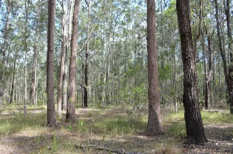 Seventh view of Homely rural property listing, Woodlands Road, Nabiac NSW 2312