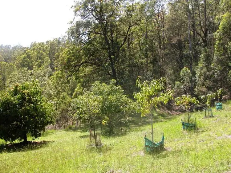 Fourth view of Homely rural property listing, Lot 1 Greenhills Road, Taylors Arm NSW 2447