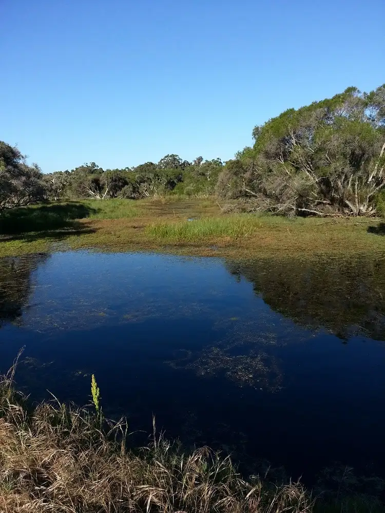 Sixth view of Homely land listing, Lot 3 Centenary Road, Gelorup WA 6230