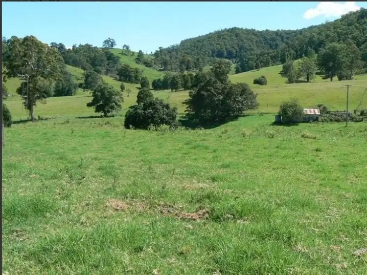 Fifth view of Homely rural property listing, 189 Saxbys Lane, Kundibakh NSW 2429