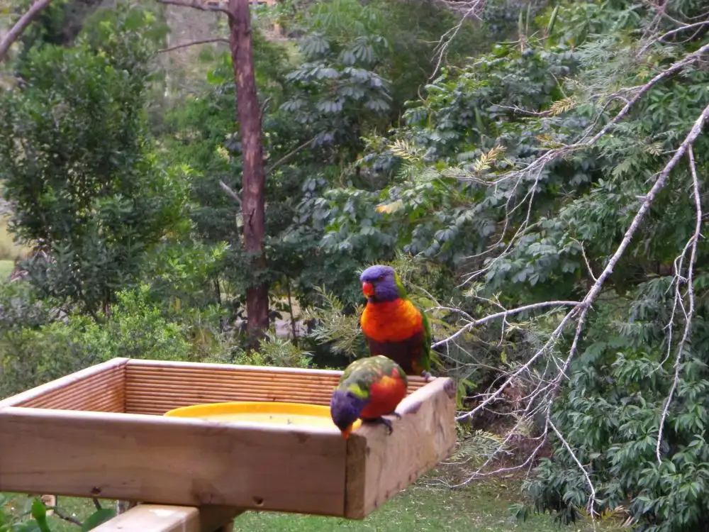 Main view of Homely rural property listing, 40 Valley View Rise, Mooloolah Valley QLD 4553