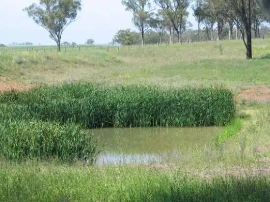 Third view of Homely rural property listing, 1 Middlebrook Drive, Scone NSW 2337