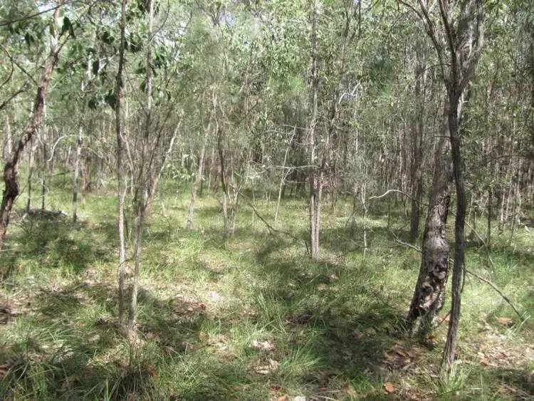 Seventh view of Homely rural property listing, Lot 50 Matchbox Road, Deepwater QLD 4674