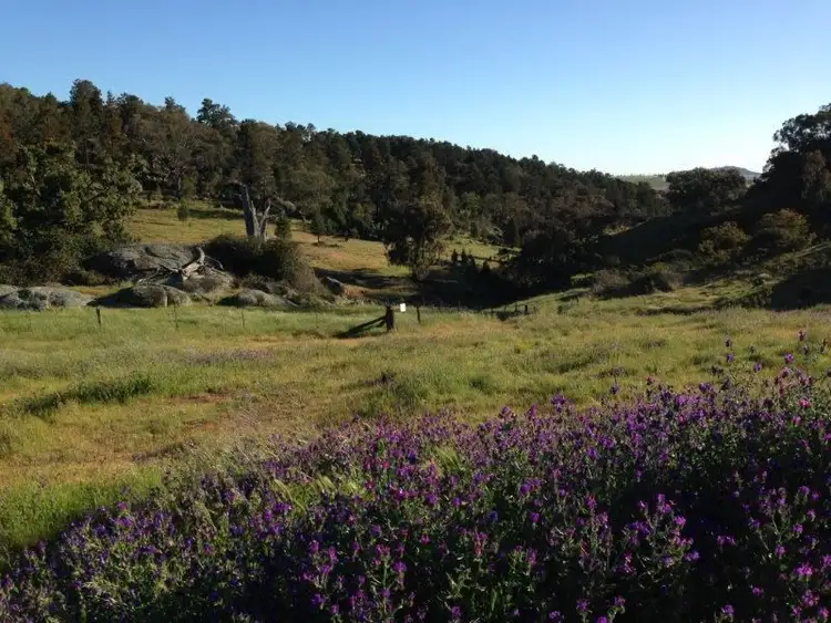 Sixth view of Homely land listing, 6056 Holbrook Road, Gelston Park, Wagga Wagga NSW 2650