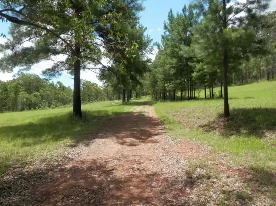 Third view of Homely rural property listing, Address available on request