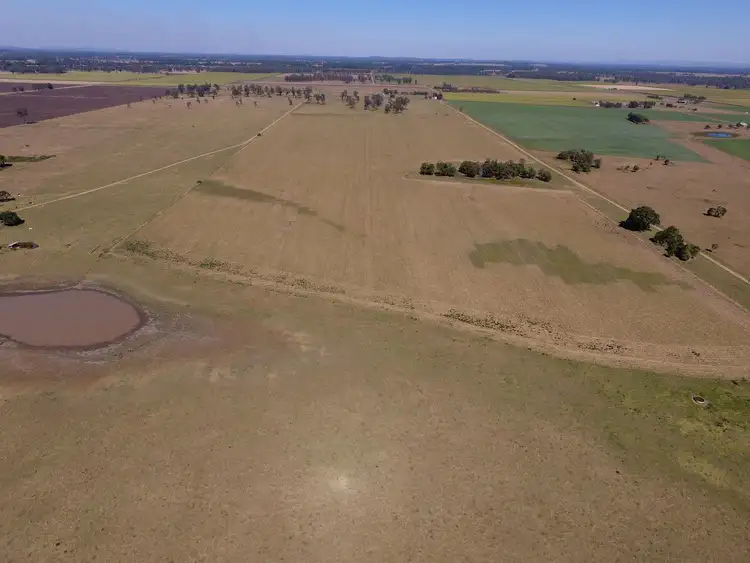 Seventh view of Homely rural property listing, 4040 Casino Coraki Road, Greenridge NSW 2471
