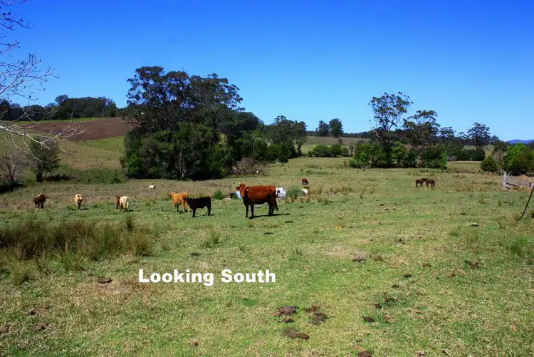 Fourth view of Homely rural property listing, 537 Old Coast Road, Nambucca Heads NSW 2448