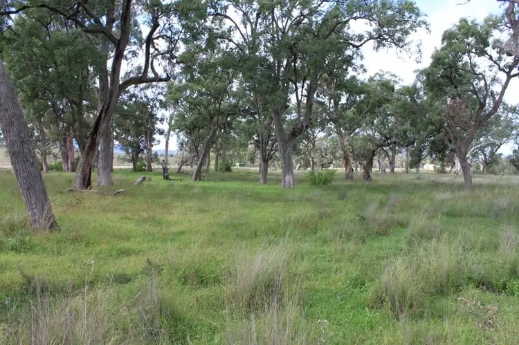 Fourth view of Homely land listing, 350 Bunnan Road, Scone NSW 2337