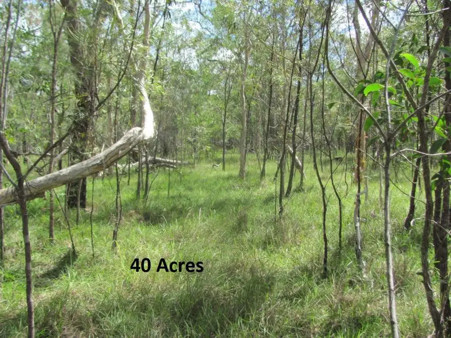 Main view of Homely rural property listing, Lot 50 Matchbox Road, Deepwater QLD 4674