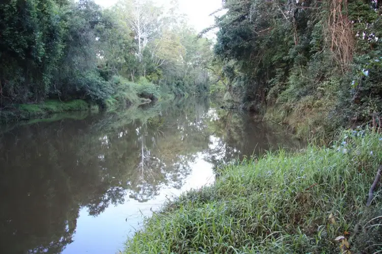 Second view of Homely rural property listing, 132 Wilsons Pocket Road, Wilsons Pocket QLD 4570