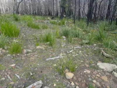 Seventh view of Homely land listing, Lot 1 Schofields Road, Murdunna TAS 7178