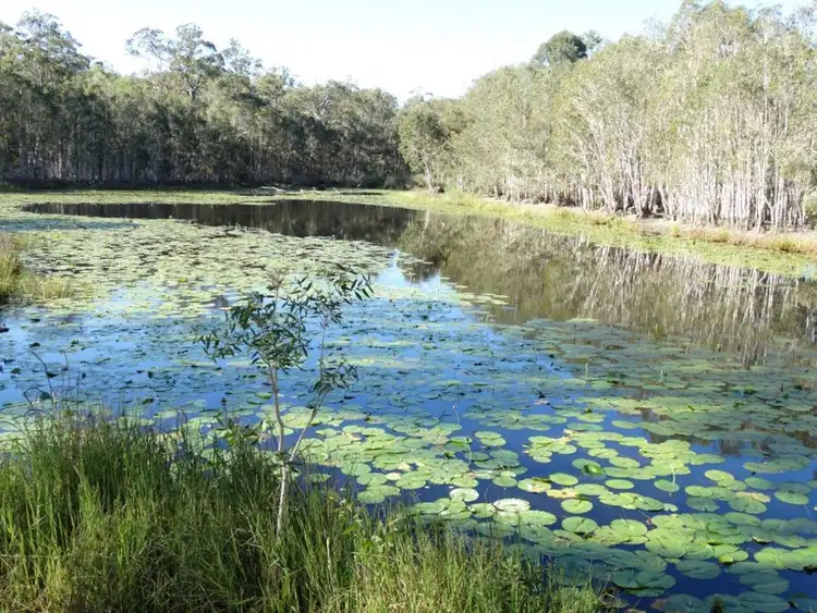 Second view of Homely rural property listing, Lot 97 Steeds Road, Winfield QLD 4670