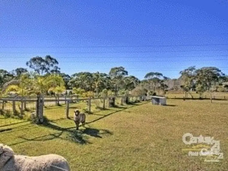 Second view of Homely rural property listing, 55 Rutleys Road, Wyee Point NSW 2259