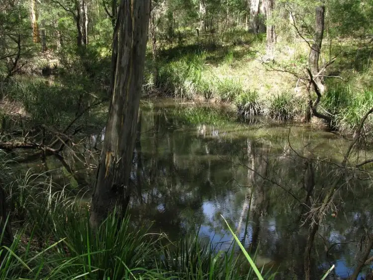 Fifth view of Homely rural property listing, 14 Perch Road, Lanitza NSW 2460
