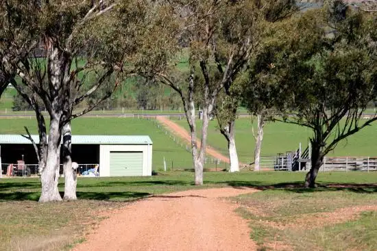 Seventh view of Homely rural property listing, Address available on request