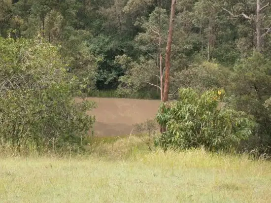 Third view of Homely rural property listing, 1896 Paddys Flat Road, Tabulam NSW 2469