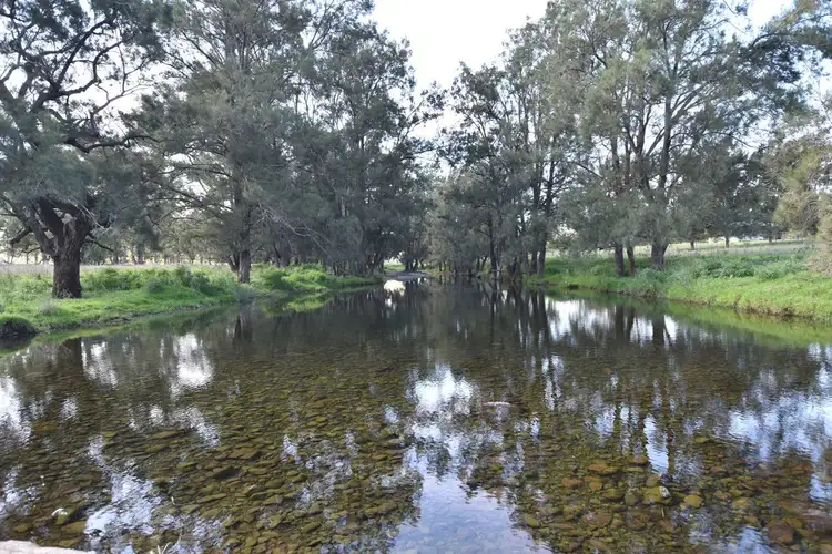 Sixth view of Homely rural property listing, 725 Middle Creek Road, Merriwa NSW 2329