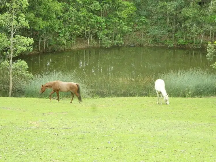 Sixth view of Homely land listing, 2034 Noosa Road, Traveston QLD 4570